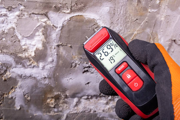 Best Mold Remediation for Schools in Pitman, NJ